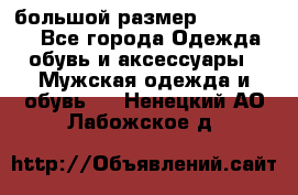 большой размер XX L  (2x) - Все города Одежда, обувь и аксессуары » Мужская одежда и обувь   . Ненецкий АО,Лабожское д.